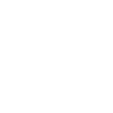 Network & Connectivity icon